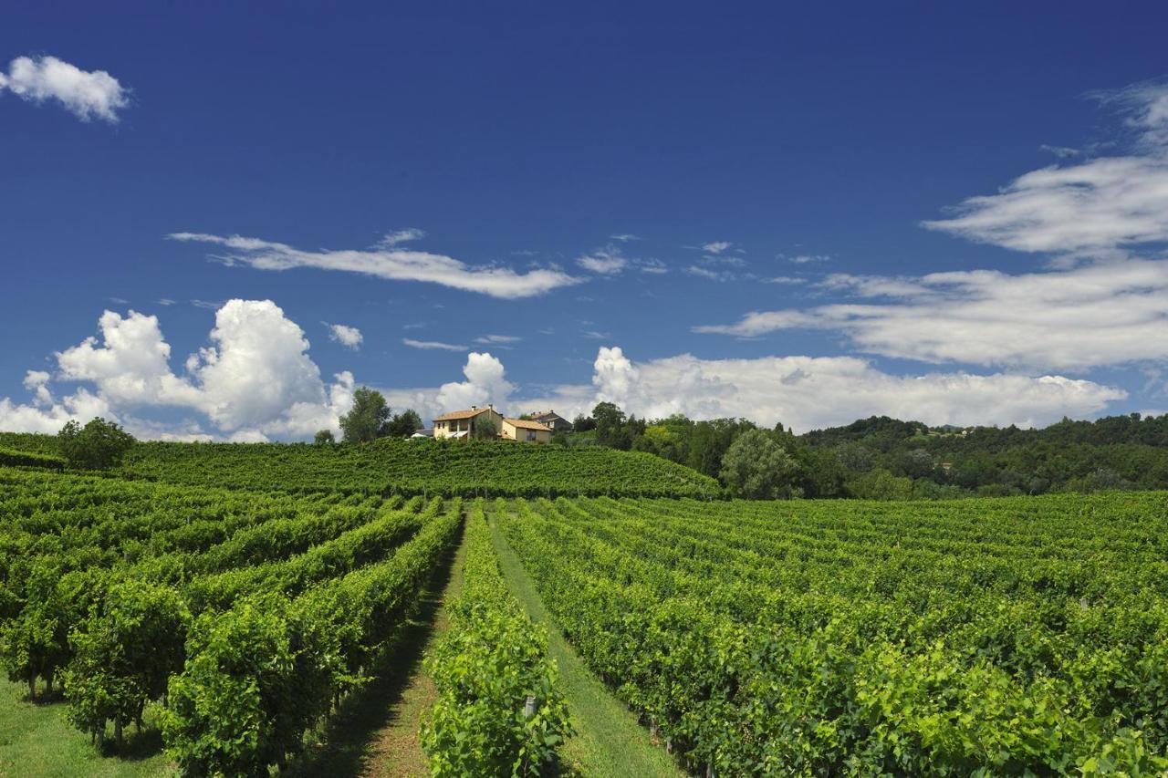 Agriturismo Moro Barel วิตโตรีโอ เวเนโต ภายนอก รูปภาพ
